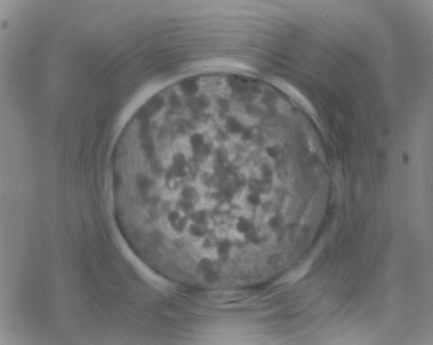 X0000077361391200611101628