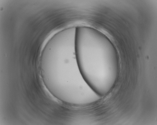 X0000077361392200611101628