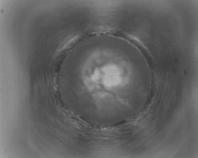 X0000077361399200611101627