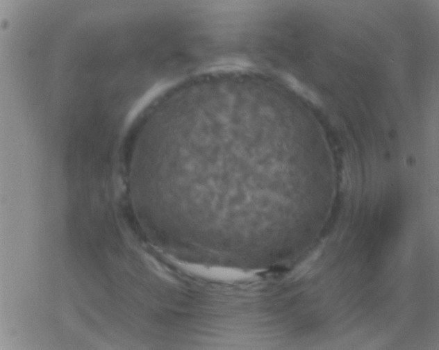 X0000077361400200611101627