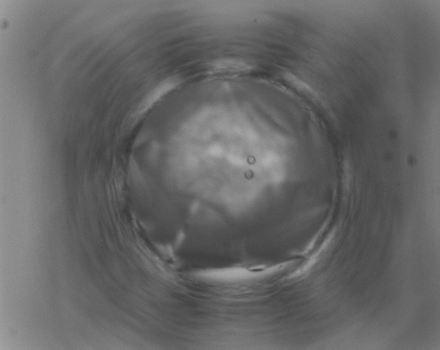 X0000077361401200611101627