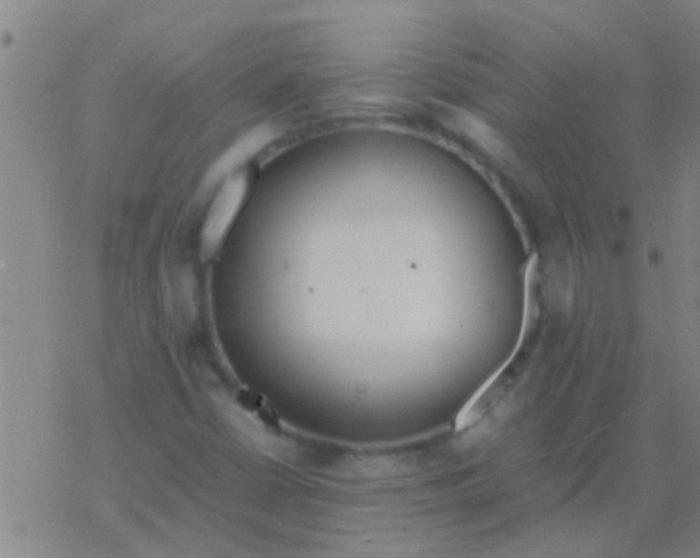 X0000077361402200611101627