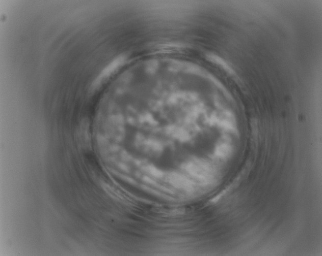 X0000077361403200611101627