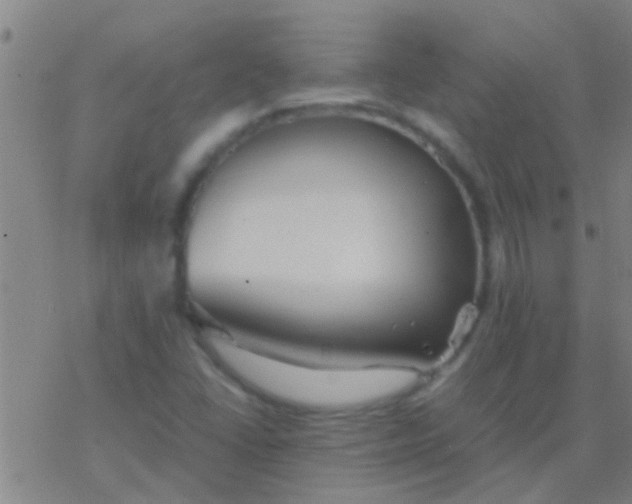 X0000077361406200611101627