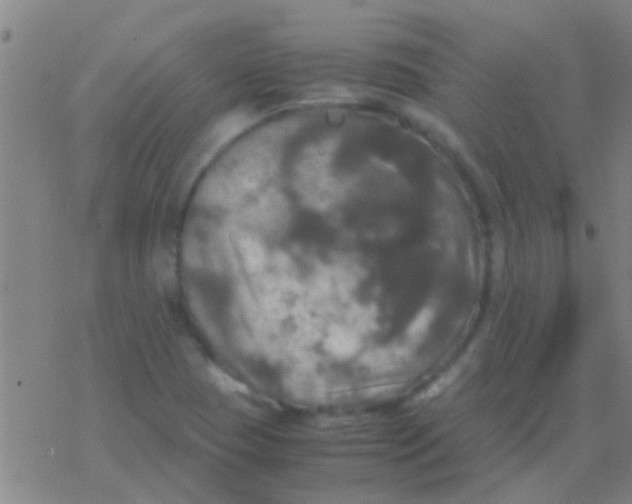 X0000077361409200611101627