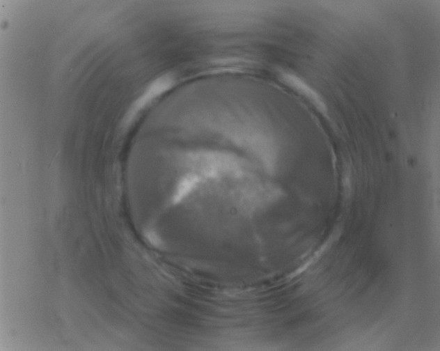 X0000077361411200611101627