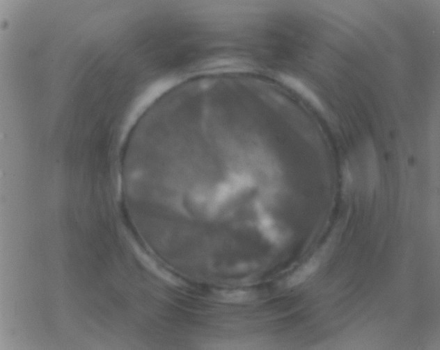 X0000077361413200611101627