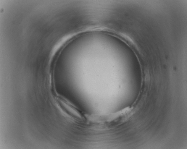 X0000077361414200611101627