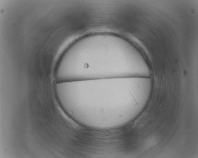 X0000077361416200611101628