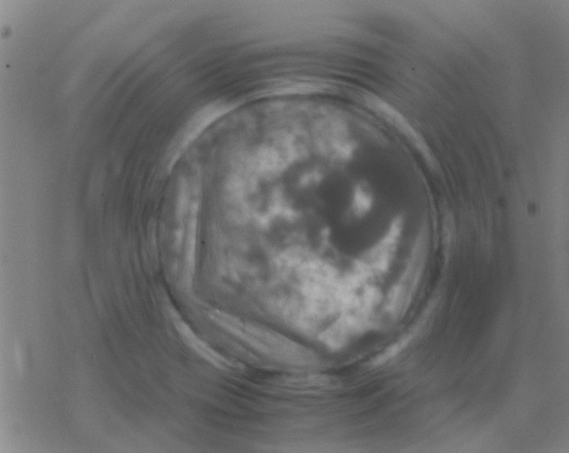 X0000077361417200611101628