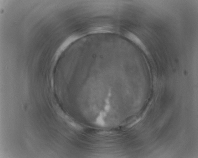 X0000077361419200611101628