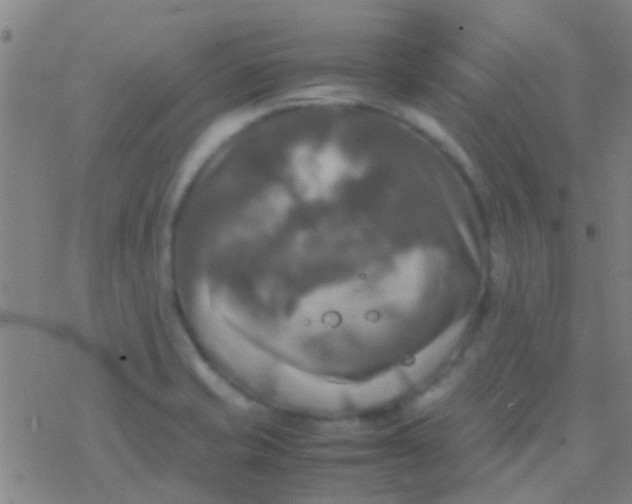 X0000077361421200611101628