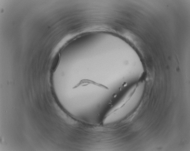 X0000077361422200611101628