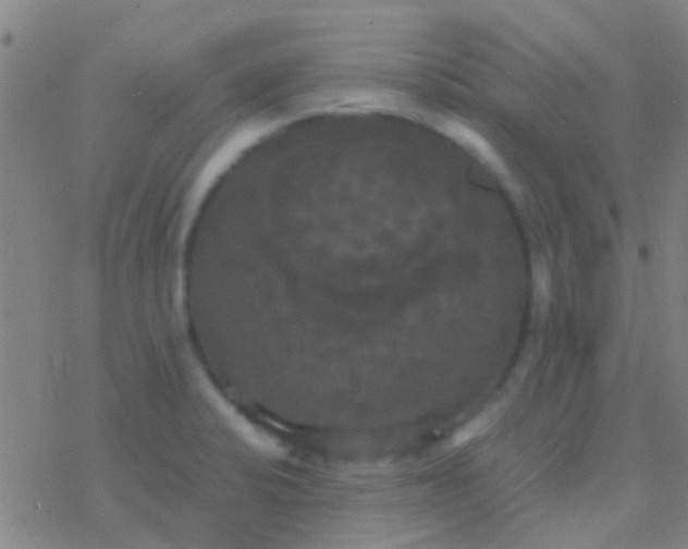 X0000077361424200611101628