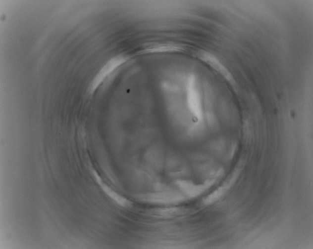 X0000077361425200611101628