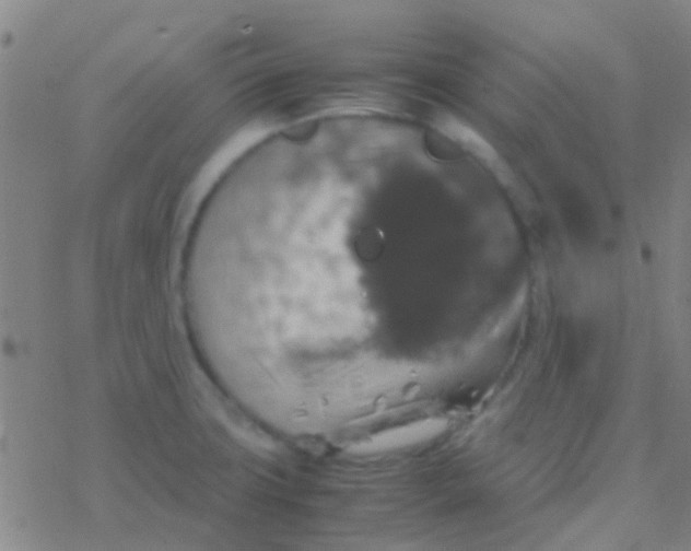 X0000077361427200611101628