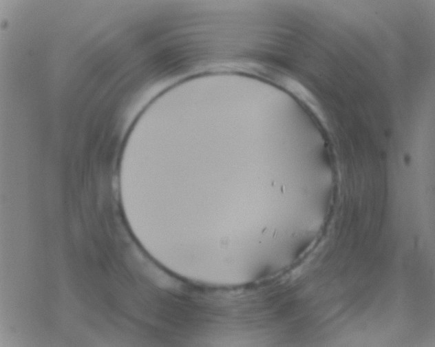 X0000077361428200611101628