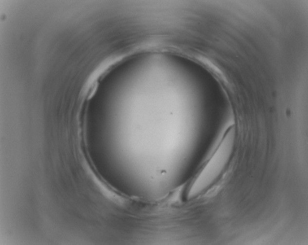 X0000077361430200611101628