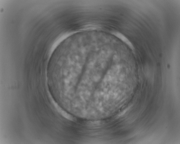 X0000077361431200611101628