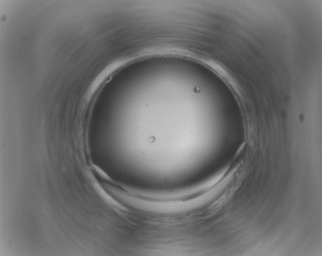 X0000077361438200611101628