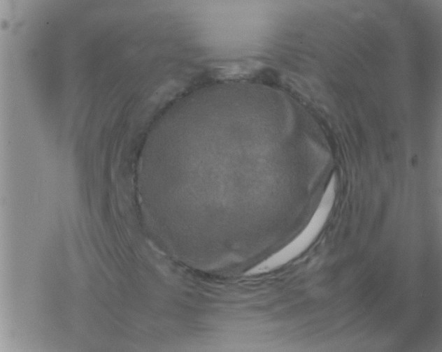 X0000077361441200611101627