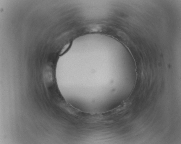 X0000077361442200611101627