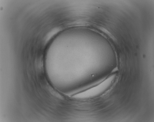 X0000077361450200611101627