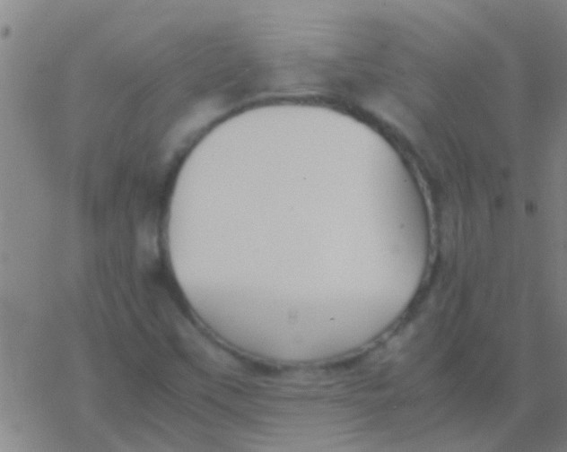 X0000077361451200611101627