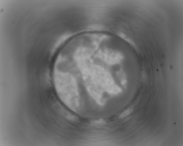 X0000077361454200611101627