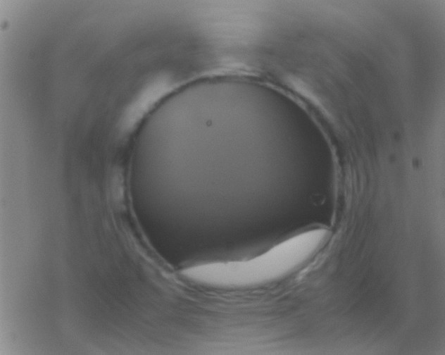 X0000077361455200611101627