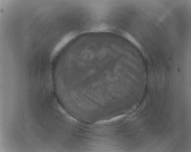 X0000077361456200611101627