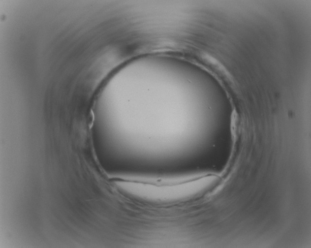 X0000077361457200611101627