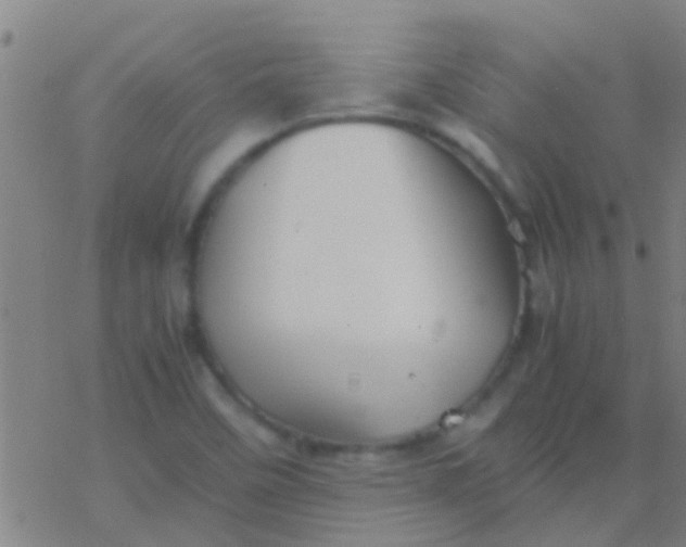 X0000077361458200611101627