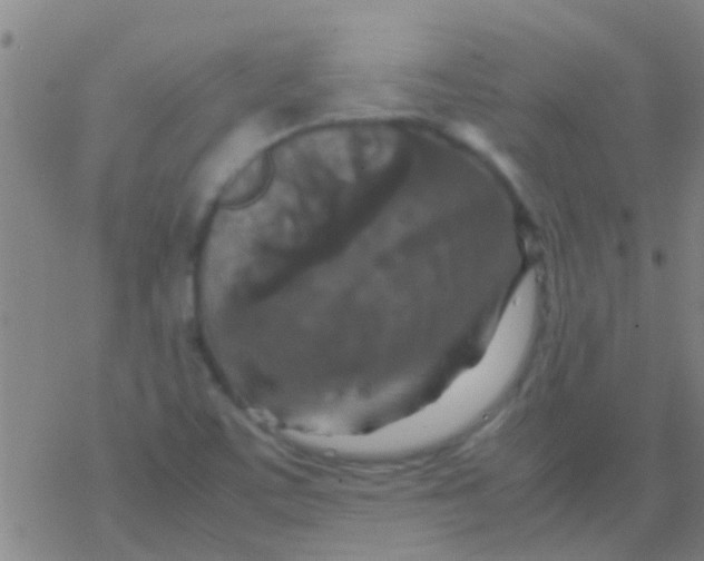 X0000077361459200611101627