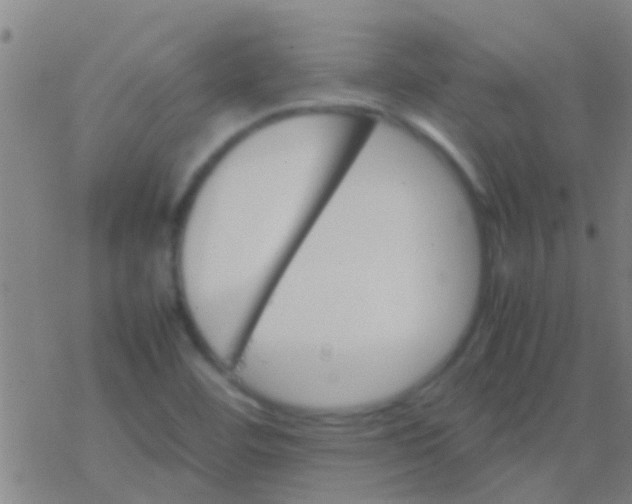 X0000077361460200611101627