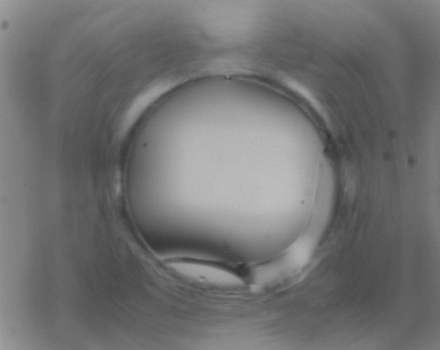 X0000077361461200611101627