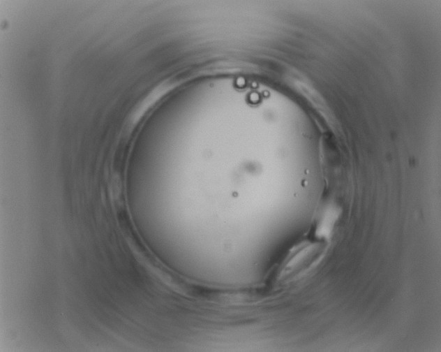 X0000077361465200611101627