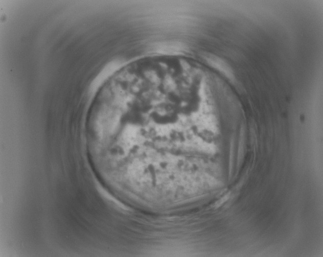 X0000077361471200611101627