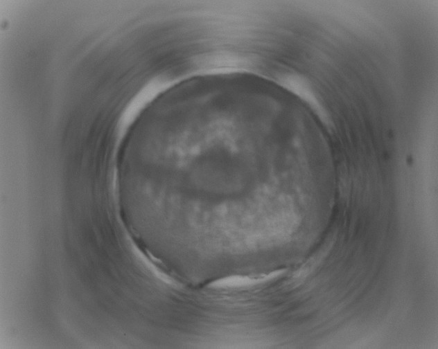 X0000077361472200611101627