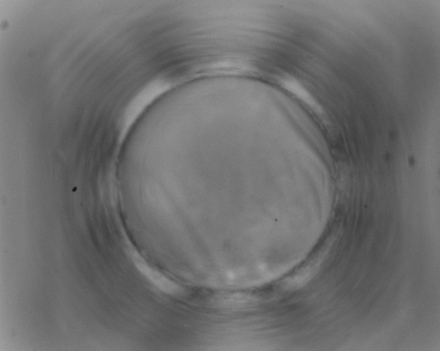 X0000077361474200611101627