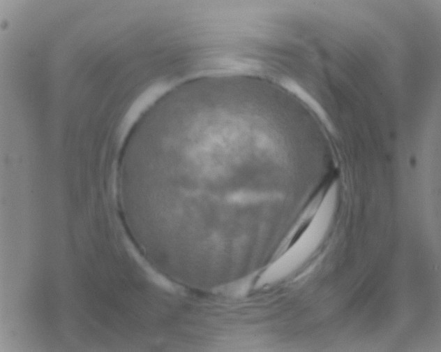 X0000077361477200611101627