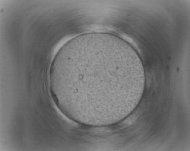 X0000077361479200611101627