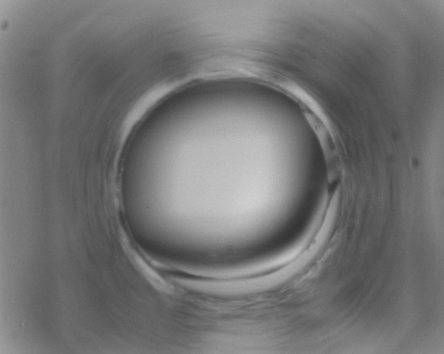 X0000077361485200611101626