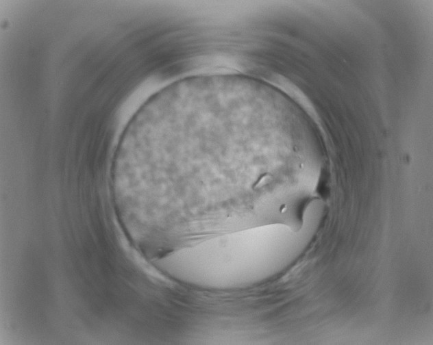 X0000077361488200611101626