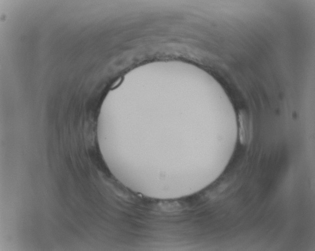 X0000077361491200611101626