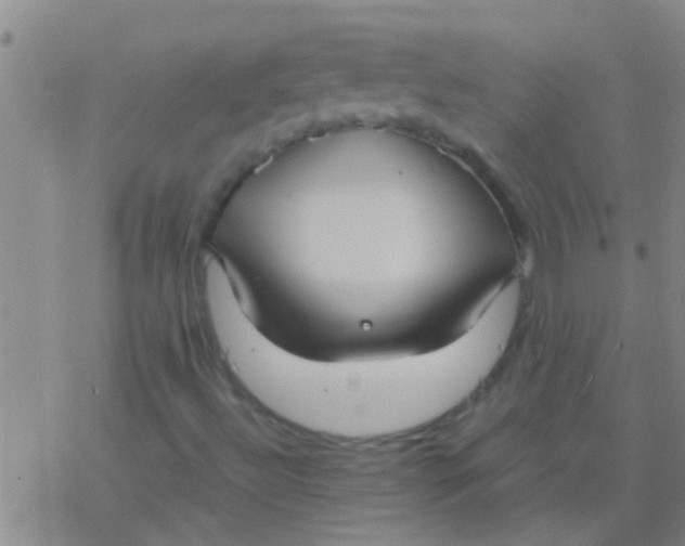 X0000077361492200611101626