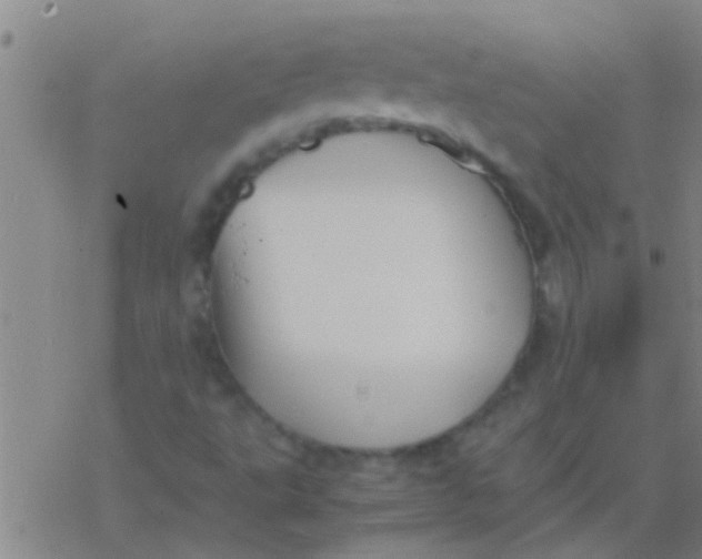 X0000077361495200611101626