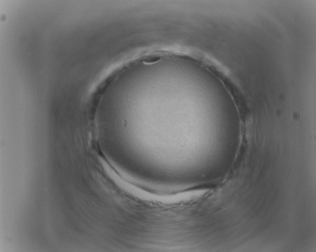 X0000077361496200611101626