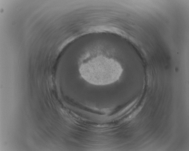 X0000077361497200611101626