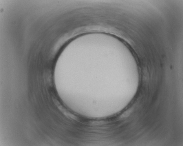 X0000077361499200611101626